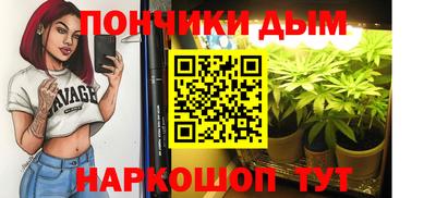 крисы Бийск