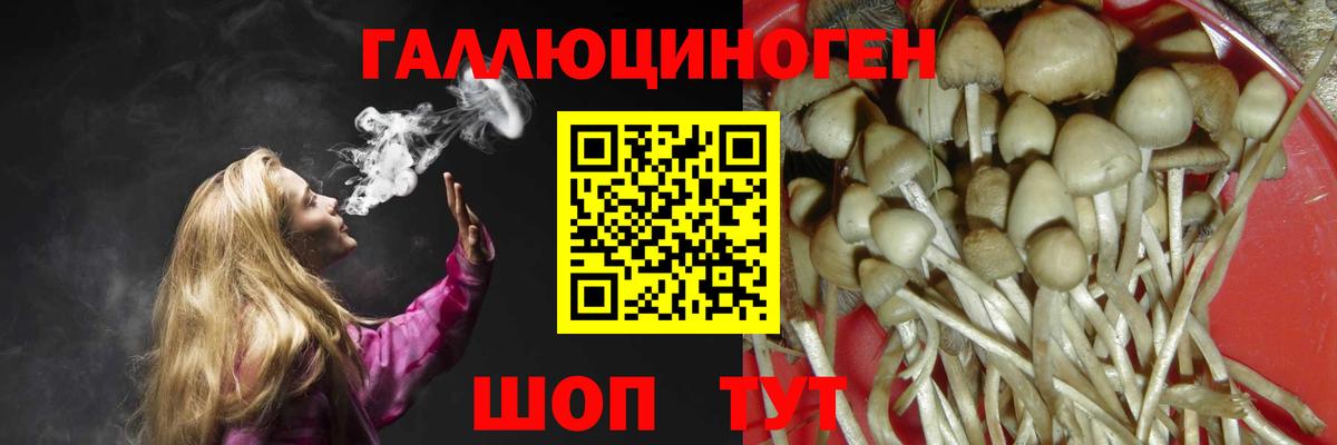 Галлюциногенные грибы прущие грибы Грозный
