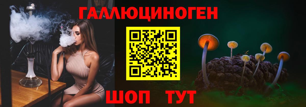 Псилоцибиновые грибы Psilocybine cubensis  Вход с VPN  Грозный  Псилоцибиновые грибы GOLDEN TEACHER 